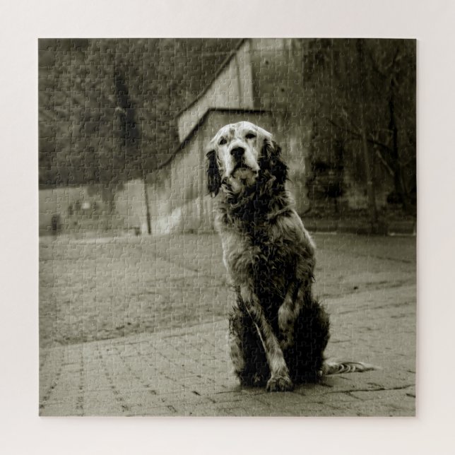 Armer Hund Gewartet (Vertikal)