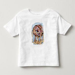 Armillary Bereich Kleinkind T-shirt
