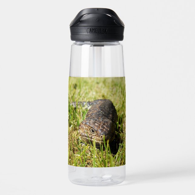 Armored Ambler: Der geheime Spaziergang des Shingl Trinkflasche (Rückseite)