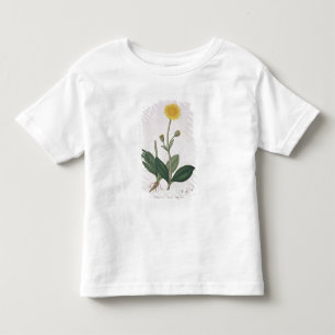 Arnika Montana von "Phytographie Medicale" durch Kleinkind T-shirt