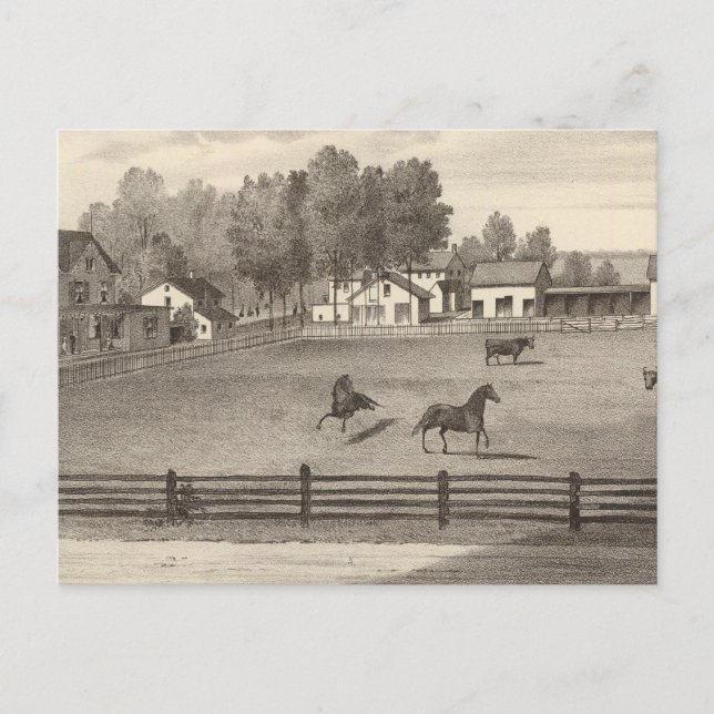 Arnold House, Point Pleasant, NJ Postkarte (Vorderseite)