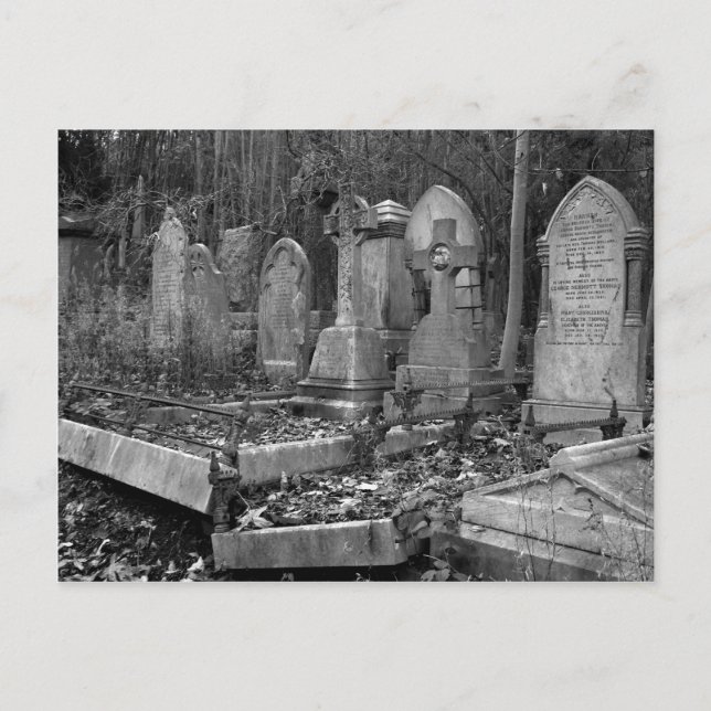 ArnosVale4 Postkarte (Vorderseite)