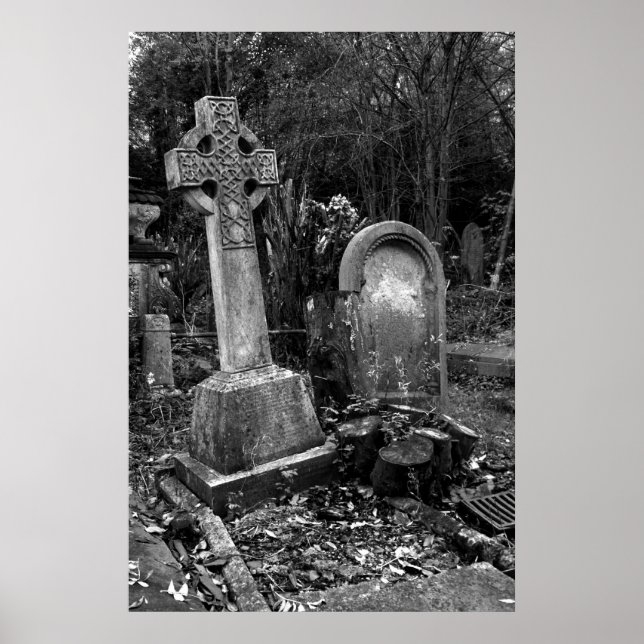 ArnosVale7 Poster (Vorne)