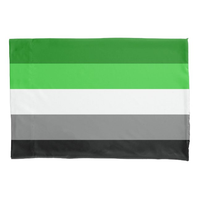 Aromantic Flaggen-Kissenbezug Kissenbezug (Vorderseite)