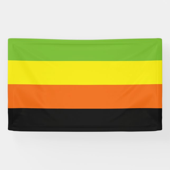 Aromantischer Stolz Banner (Horizontal)