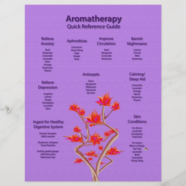 Aromathérapie graphique dans le prospectus Lavende (Devant)