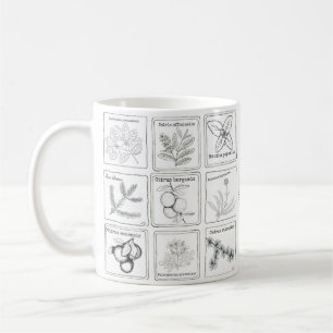 Aromatherapy-Pflanzen-Skizze-Tasse Kaffeetasse