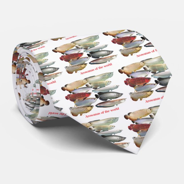 Arowanas Krawatte (Gerollt)