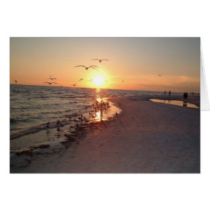 Arrangement de Sun sur la sièste