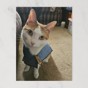 Arrêtez de m'embarrasser ! Carte postale