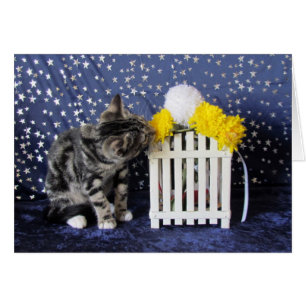 Arrêtez et sentez les fleurs (Lilo)