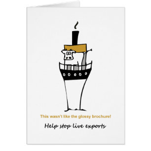 Arrêtez les exportations vivantes