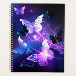Arrière - plan avec papillons de nuit