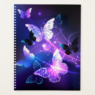 Arrière - plan avec papillons de nuit
