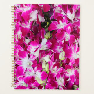 Arrière - plan de fleurs d'orchidées violettes