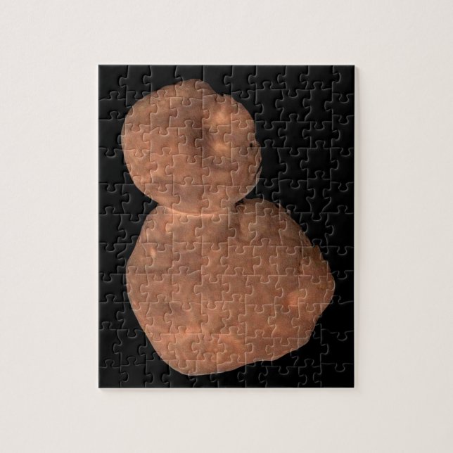 Arrokoth Kuiper Belt Object (Vertikal)