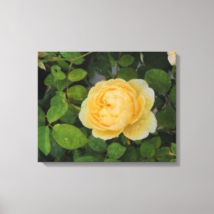 Arrosage sur toile étirée rose jaune