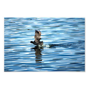 Arrowhead-See Fotodruck