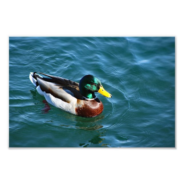 Arrowhead-See Fotodruck (Vorne)