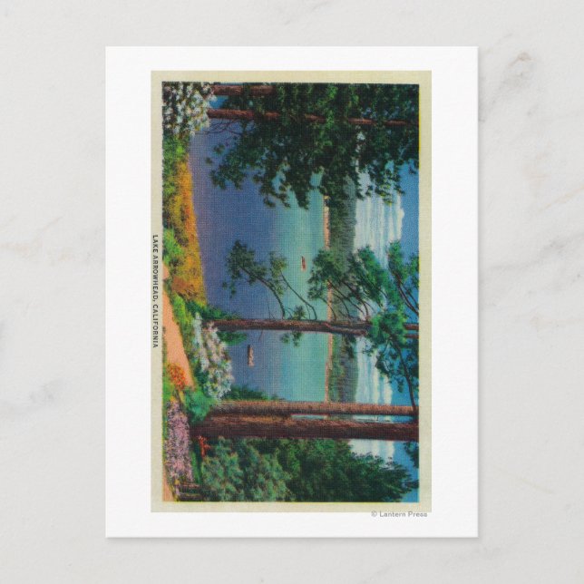 Arrowhead ViewLake Arrowhead, CA Postkarte (Vorderseite)