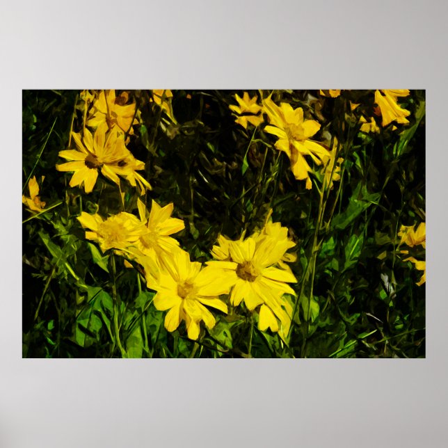 Arrowleaf Balsamroot Gelbe Wildblume Abstrakt Poster (Vorne)
