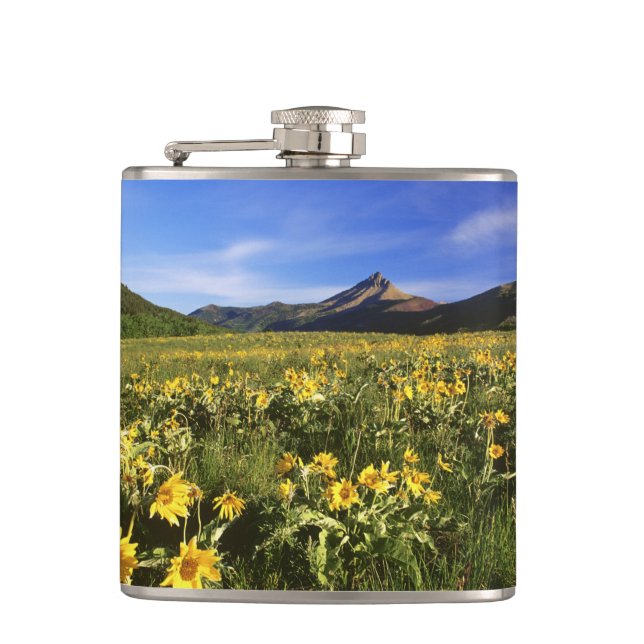 Arrowleaf balsomroot bedeckt mit flachmann (Vorderseite)