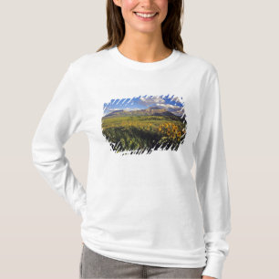 Arrowleaf balsomroot Wildblumen in Waterton T-Shirt