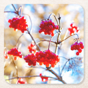 Arrowwood Berries Rechteckiger Pappuntersetzer