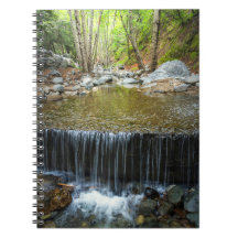 Arroyo-Fluss