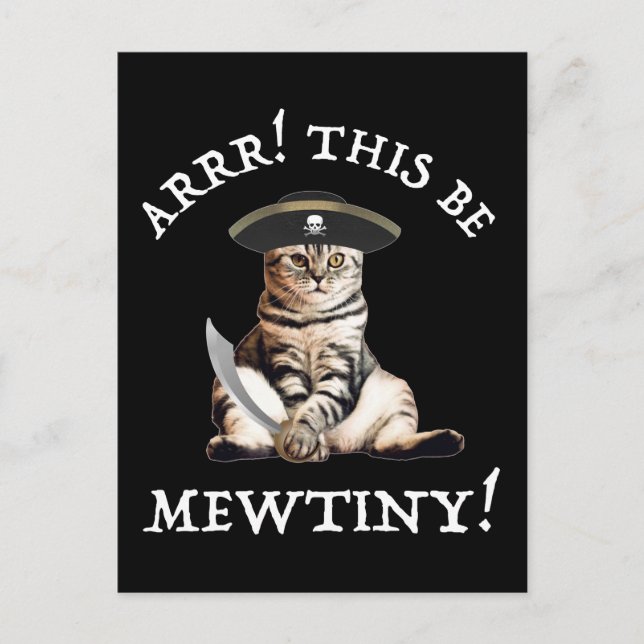 Arrr! Das ist winzig! Pirate Cat Postkarte (Vorderseite)