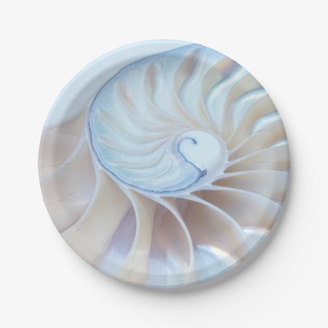 Art. 2 pappteller (Vorderseite)