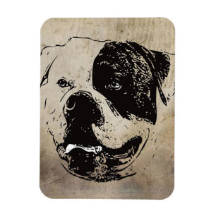 Art America Bulldog   Bulldog Lovers Gift Magnet