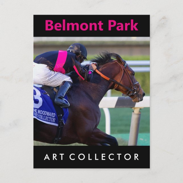 Art Collector & Saez Postkarte (Vorderseite)