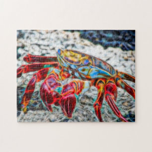 Art Crab am Sandmeer