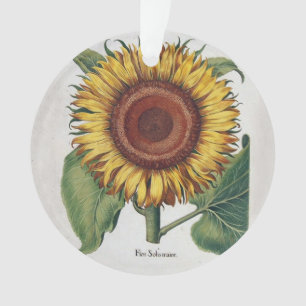 Art de fleur de damas vintage tournesol