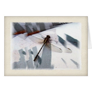 Art de photographie dimensionnelle de libellule