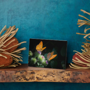 Art Deco Plaque-Butterflies Plaque Fotoplatte