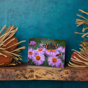 Art Deco Plaque-Butterfly Plaque Fotoplatte