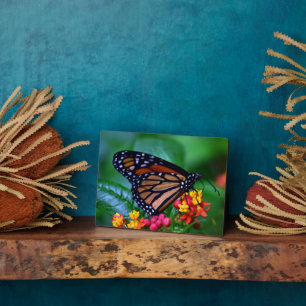 Art Deco Plaque-Butterfly Plaque Fotoplatte