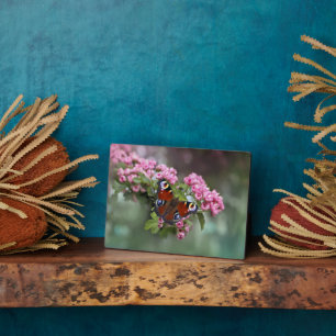 Art Deco Plaque-Butterfly Plaque Fotoplatte