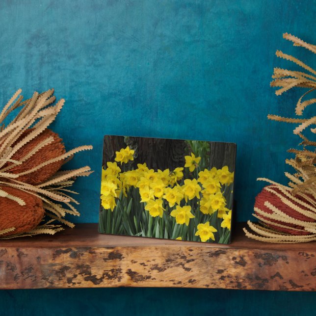 Art Deco Plaque-Daffodils Plaque Fotoplatte (Seite)