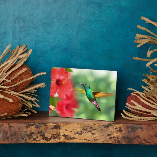 Art Deco Plaque-Hummingbird Plaque Fotoplatte (Seite)