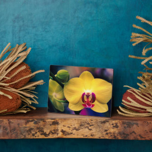 Art Deco Plaque-Orchid Blume Plaque Fotoplatte