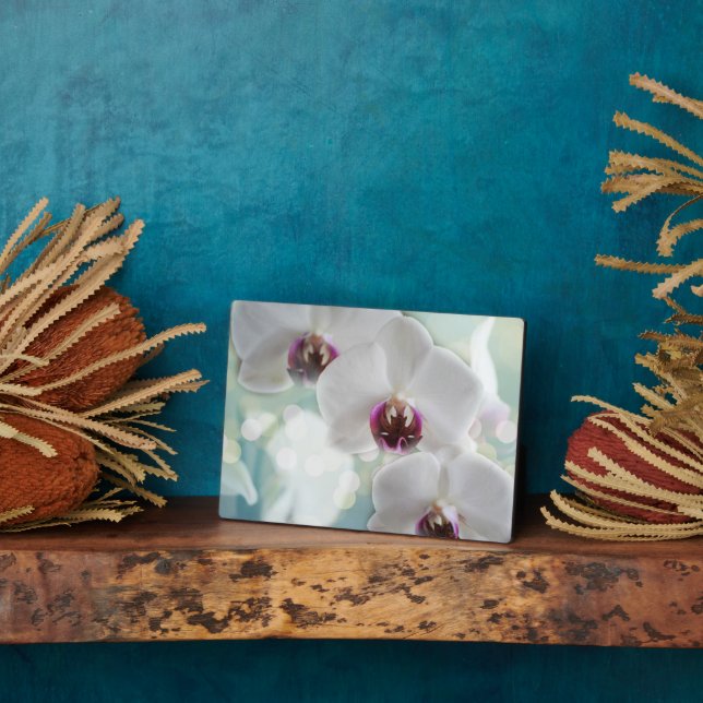 Art Deco Plaque-Orchid Blume Plaque Fotoplatte (Seite)