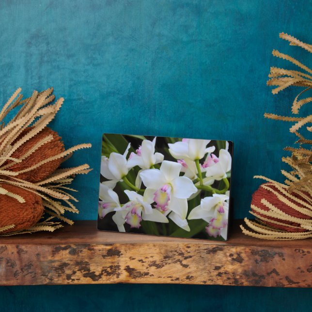 Art Deco Plaque-Orchid Blume Plaque Fotoplatte (Seite)
