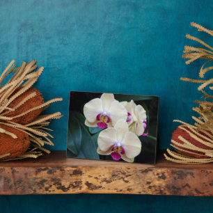 Art Deco Plaque-Orchid Blume Plaque Fotoplatte