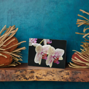 Art Deco Plaque-Orchids Plaque Fotoplatte