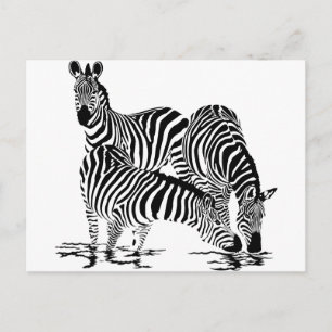 Art Deco Zebra Postkarte