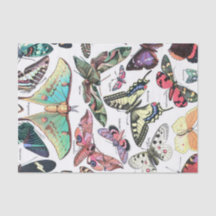 Art der Butterflys Moth Chart Decoupage