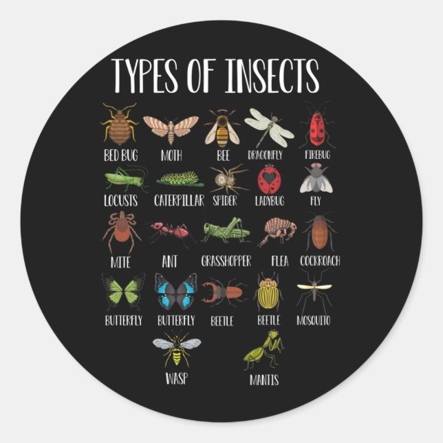 Art der Insektenfälschung Runder Aufkleber (Vorderseite)